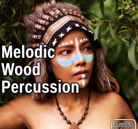 AudioFriend Melodic Wood Percussion WAV